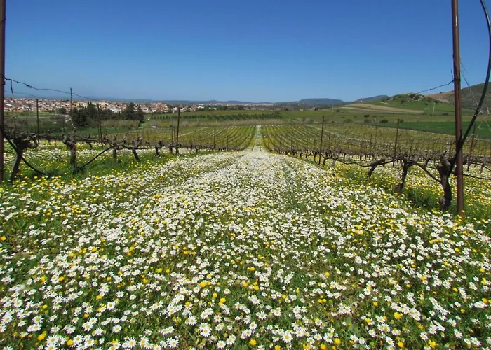 In Einer Hoehle Mit Privatparkplatz By Interhome Tatil Evi