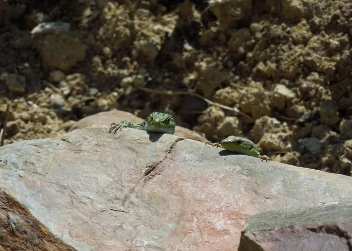 In Einer Hoehle Mit Privatparkplatz By Interhome *